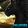 felisfire6.gif